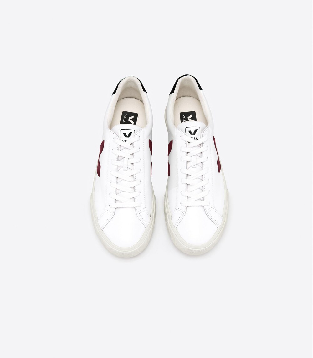 Veja Sneakers Womens - Esplar Leather - White - 6037HUINE